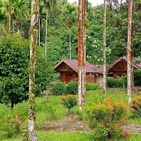 Green Lodge Tangkahan エクステリア 写真
