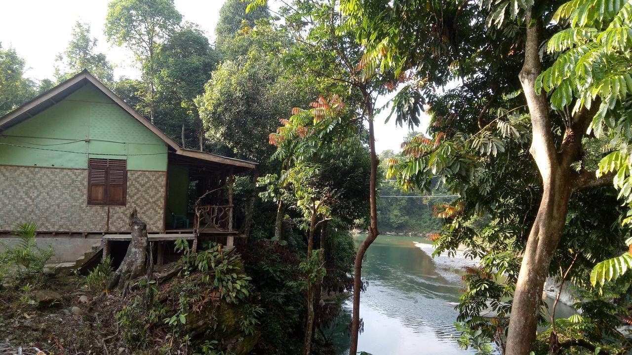 Green Lodge Tangkahan エクステリア 写真