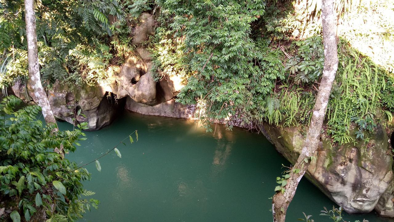Green Lodge Tangkahan エクステリア 写真